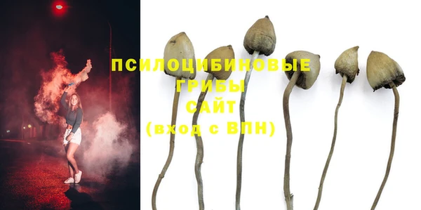 шишки Арсеньев