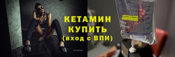 шишки Арсеньев