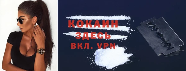шишки Арсеньев