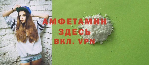 шишки Арсеньев