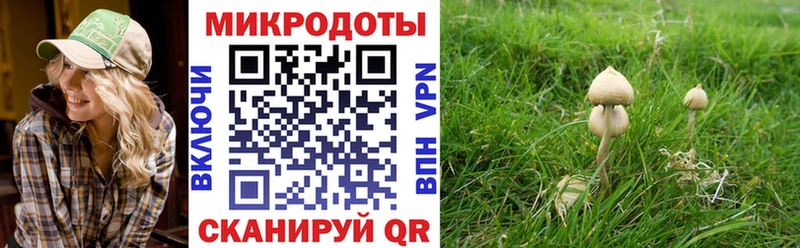 где можно купить наркотик Ишим Псилоцибиновые грибы прущие грибы